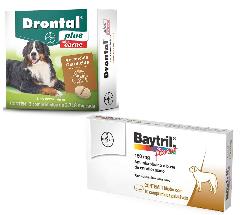 Vermífugo Bayer Drontal Plus Vermífugo  para Cães de até 35kg - 2 Comprimidos Sabor Carne