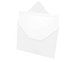 CONVITE CAMPOLIM (25 envelopes + 25 convites) METÁLICO BRANCO, Romitec, 3255R, Branco