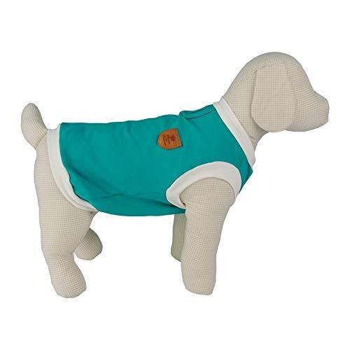 Camiseta Malha Bonito pra Cachorro para Cães Verde - Tamanho GG
