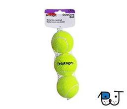 Kit com 3 Bolas de Tênis resistentes para Cães Petstages
