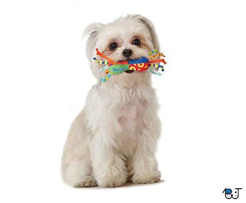 Brinquedo para Cachorro Mini Halteres Geladinho com Fitas Cool Chew Mini Petstages