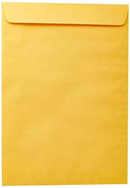 Scrity SKO034, Envelope Saco, Multicolor, Pacote de 250