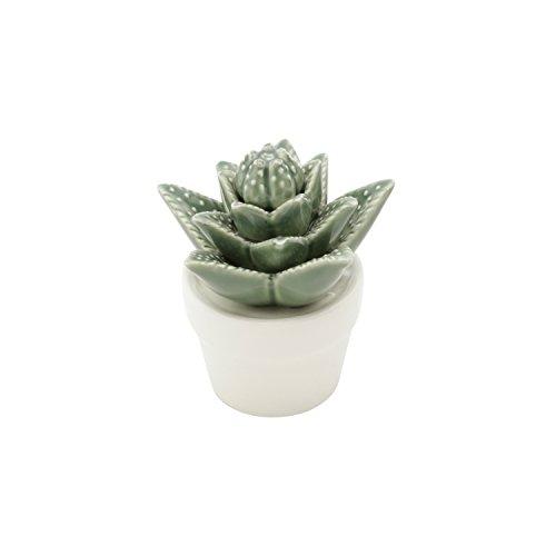 Mini Vaso Decorativo em Titubens Succulent Urban Verde/Branca