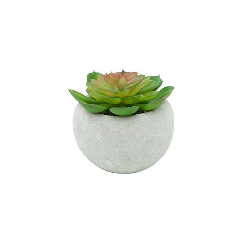 Mini Vaso Concreto Carnicolor Sucullent Urban Branco/Verde Cimento