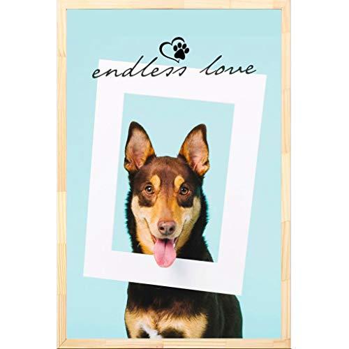 Quadro De Cachorro Frase Endless Love Decore Pronto Multicor Pequeno 20x30cm
