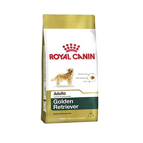 Ração Royal Canin Golden Retriever Cães Adultos 12Kg Royal Canin para Todas Todos os tamanhos de raça Adulto - Sabor Outro