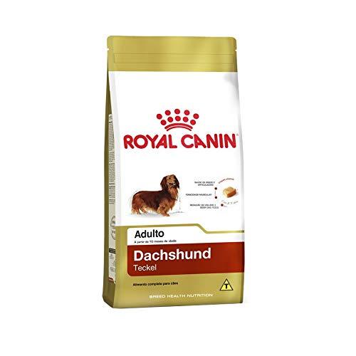 Ração Royal Canin Dachshund Cães Adultos 1kg Royal Canin para Todas Todos os tamanhos de raça Adulto - Sabor Outro