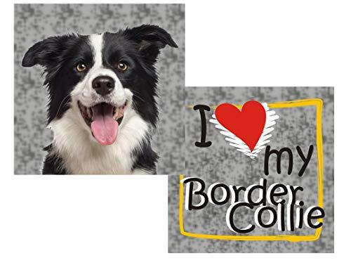Almofada Pet de Raças Border Collie SS Pets para Cães, 45x45cm