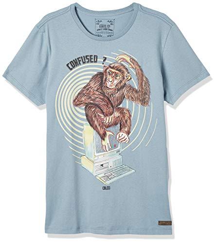 Camiseta Macaco & Computador, Colcci, Masculino, Azul Dusk, P