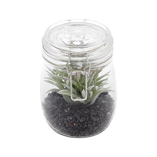 Vaso de Vidro/Plástico Aloe Cactus Urban Verde