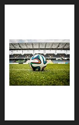 Quadro de Esportes Futebol Bola no Campo 35x55cm, Decore Pronto, Multicor, Médio
