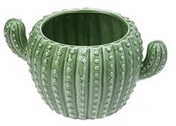 Cactus Cachepô 9 * 12 * 17cm Ceramica Verde Cn Gs Internacional Único