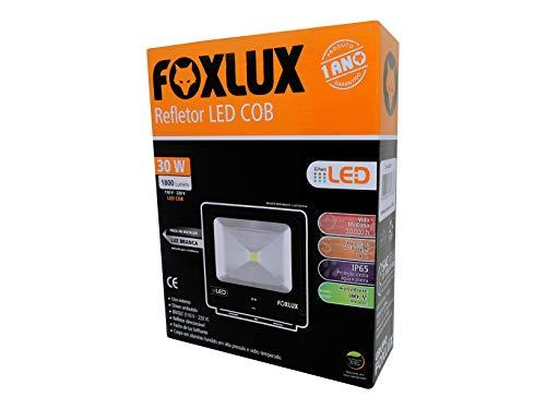 Refletor LED, Foxlux, LED38.21, 30W, 6500K, Preto, Bivolt
