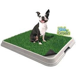 Sanitário Higiênico para Cães Pet Injet Xixi Green Premium