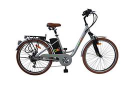 Bicicleta Elétrica Biobike STYLE BASIC Aro 26'' | Cor: Prata