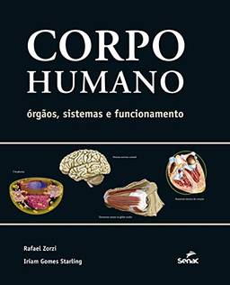 Corpo humano: Órgãos, sistemas e funcionamento