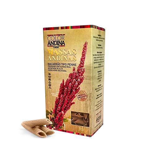 Massa de Quinoa Color Andina Food, tipo Penne 70% Quinoa, 1 caixa 300g