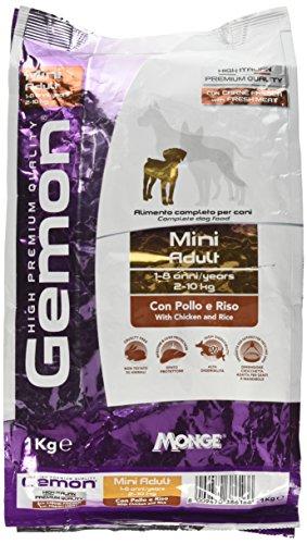 Ração Gemon Adulto para Cães de Raças Mini Frango e Arroz 1kg Gemon Para Todas Pequeno Adulto, Sabor Frango 1kg