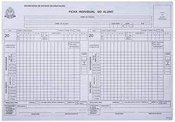 Impresso Escolar Ficha Individual Aluno - Pacote Com 100, Unica Grafica, 40011, Multicor