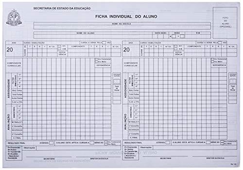 Impresso Escolar Ficha Individual Aluno - Pacote Com 100, Unica Grafica, 40011, Multicor