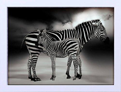 Quadro em Animais Zebras Decore Pronto Preto/ Branco 44x34cm