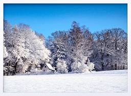 Quadro Decorativo Paisagem Floresta no Inverno Decore Pronto Multicor 74x54 cm