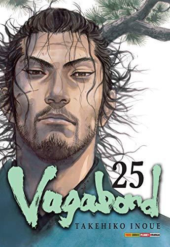 Vagabond - Volume 25