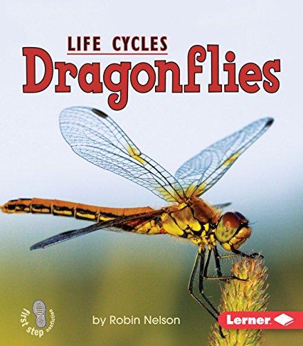 Animal Life Cycles:Dragonflies(Gr.K-2)