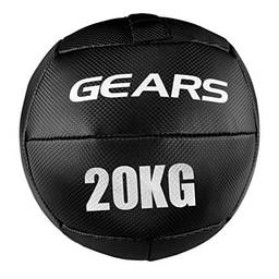 Wall Ball Carbon 20 Kg Gears