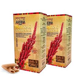 Massa de Quinoa Color Andina Food, tipo Penne 70% Quinoa, 2 caixas de 300g