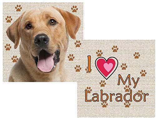 Almofada Pet de Raças Labrador SS Pets para Cães, 45x45cm