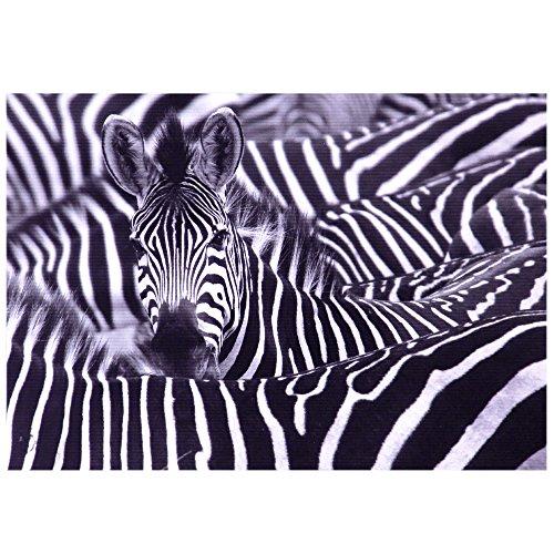 Quadro Zebra MID Preto