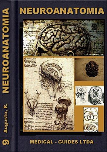 Neuroanatomia Básica: Morfofuncional do sistema nervoso (MedBook)