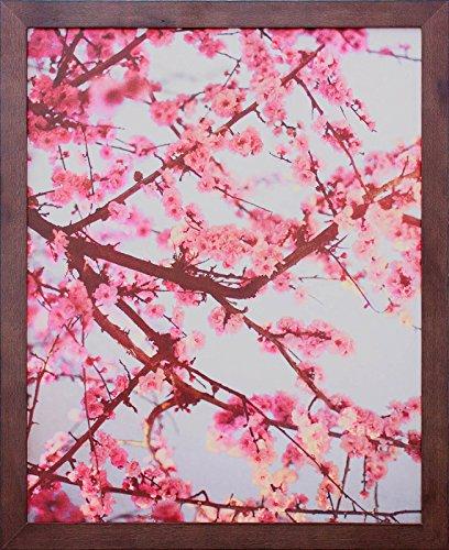 Quadro com Moldura Rústica Flores de Cerejeira Decore Pronto Multicor 44x54cm
