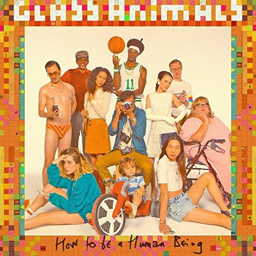 How To Be A Human Being [Disco de Vinil]