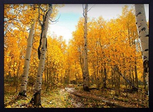 Quadro Paisagem de Outono Árvores com Folhas Amarelas Decore Pronto Multicor 74x54 cm