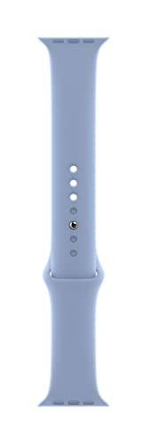 Apple Watch (45 mm) Pulseira esportiva, Azul-névoa - Padrão