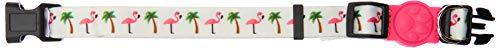 Coleira Fun Flamingo Beach PP, My Pet Brasil