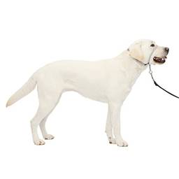 Gola de cabeça PetSafe Gentle Leader, Coleira para cães antiderrapantePetSafe Large 60-130 Lb. GL-Q-HC-L-SLV