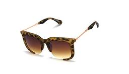 Óculos De Sol Feminino Com Proteção Uv-400 Lentes Degrade Y-167 (Marrom-Oncinha)