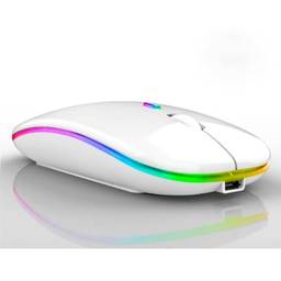 Mouse Sem Fio Recarregável Wireless Led Rgb Colorido Ergonômico Usb 2.4 Ghz TAMO (PRATA)