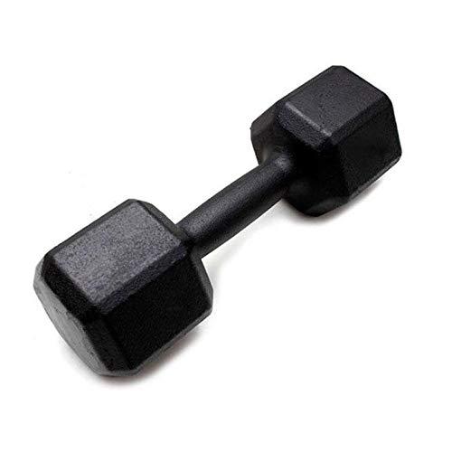 Dumbbell - Halter Sextavado de Ferro Polido 12,5 kg - Rae Fitness