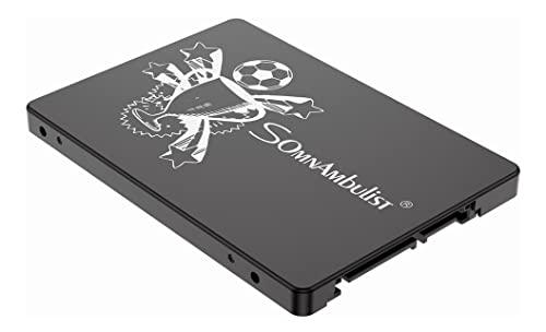 Somnambulist SSD 120GB SATA III 6GB/S Interno Disco sólido 2,5”7mm 3D NAND Chip Up To 520 Mb/s (Preto Troféus-120GB)