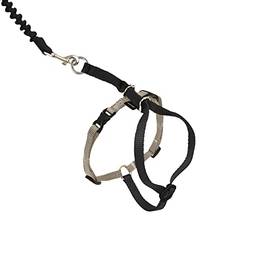 PetSafe Come With Me Kitty Harness and Bungee Leash - Medium - Black
