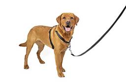 Arreio PetSafe 3 em 1 – Arnês para cães sem puxador – para raças pequenas, pequenas, médias e grandes – dos fabricantes do arnês fácil de caminharPetSafe Large 536299