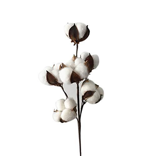 EXCEART Flor de Algodão Artificial Flores de Algodão Secas Ramos de Algodão Artificiais para Exibição de Fazenda Enchimento Decoração de Casamento (34 Cm)