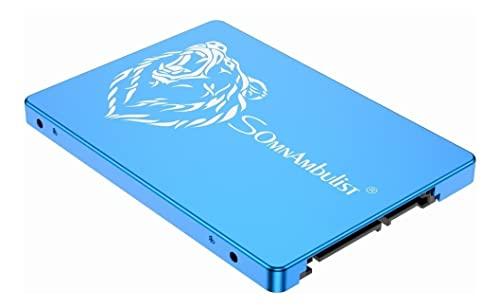 Somnambulist SSD 120GB SATA III 6GB/S Interno Disco sólido 2,5”7mm 3D NAND Chip Up To 520 Mb/s (Azul Urso-120GB)