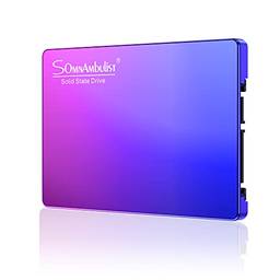 Somnambulist SSD 60 GB 120 GB 240 GB SATA 3 SSD interno (azul gradiente roxo-240 GB)