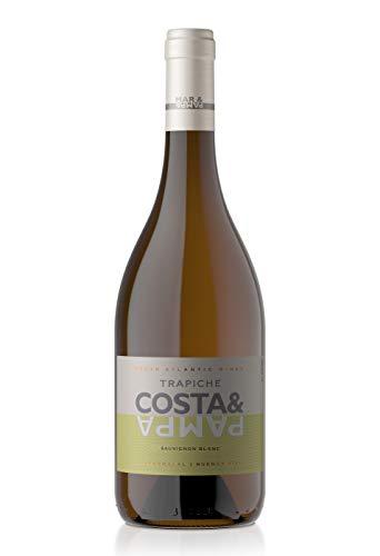 Vinho Trapiche Costa e Pampa Sauvignon Blanc 750ml