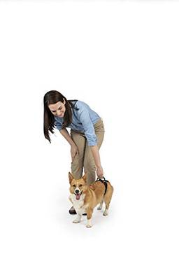 Peitoral de suporte traseiro PetSafe CareLift – Auxílio de elevação com alça – Ótimo para animais de estimação e cães mais velhos – Material confortável, respirável – Fácil de ajustar – Pequeno